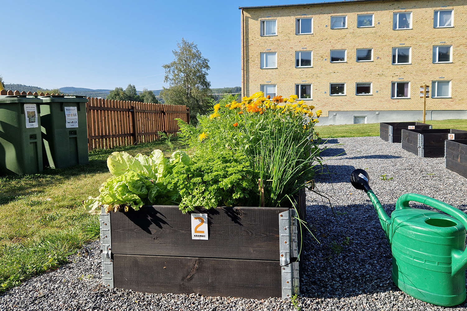 Odlingslådor Hällgumsgatan