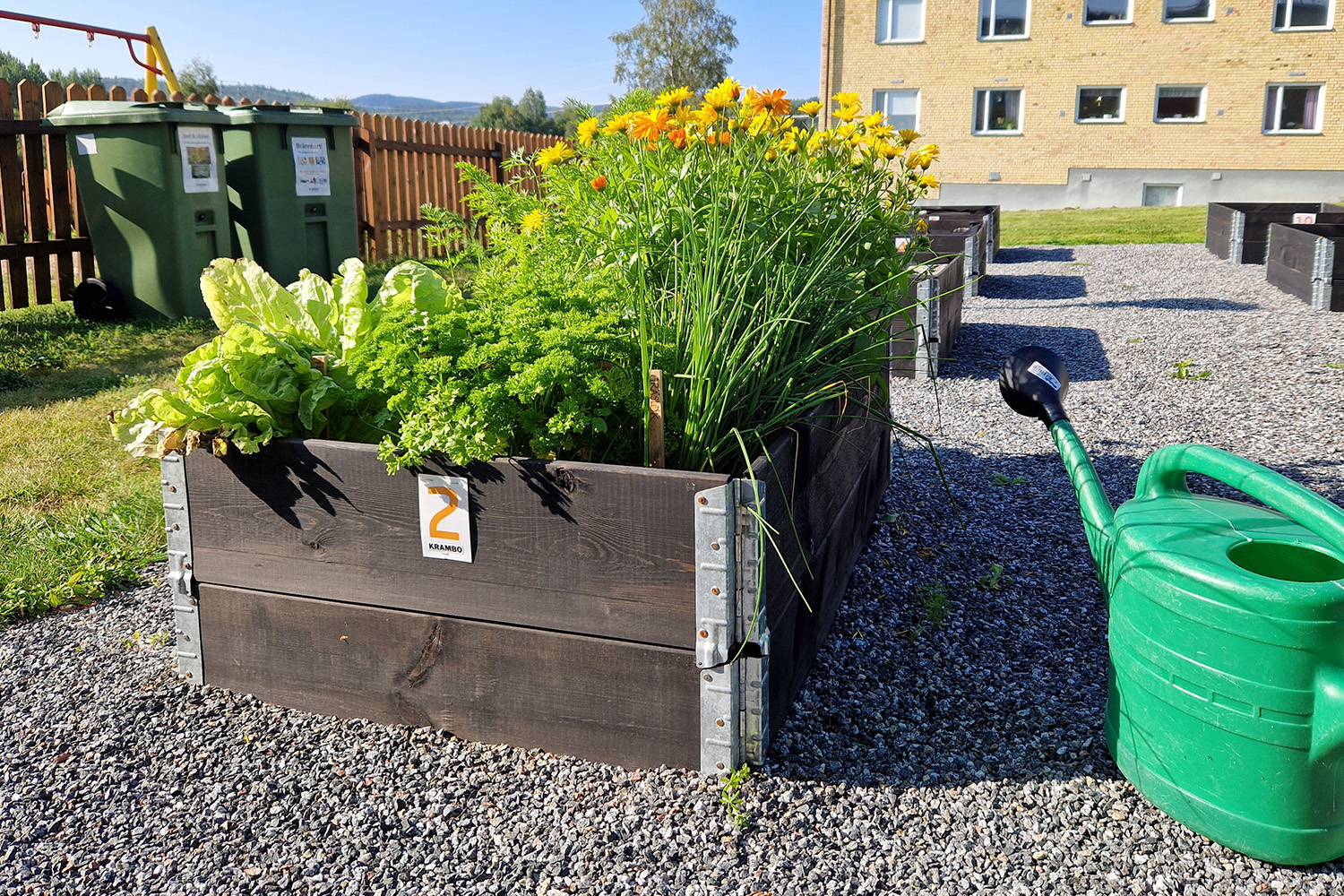 odlingslådor hällgumsgatan 2026