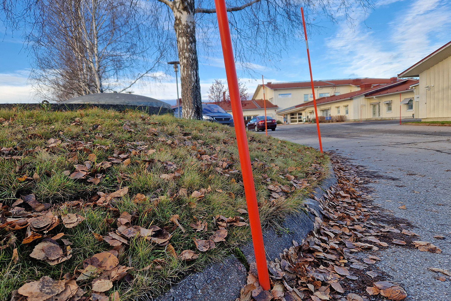 plogpinnar hösten