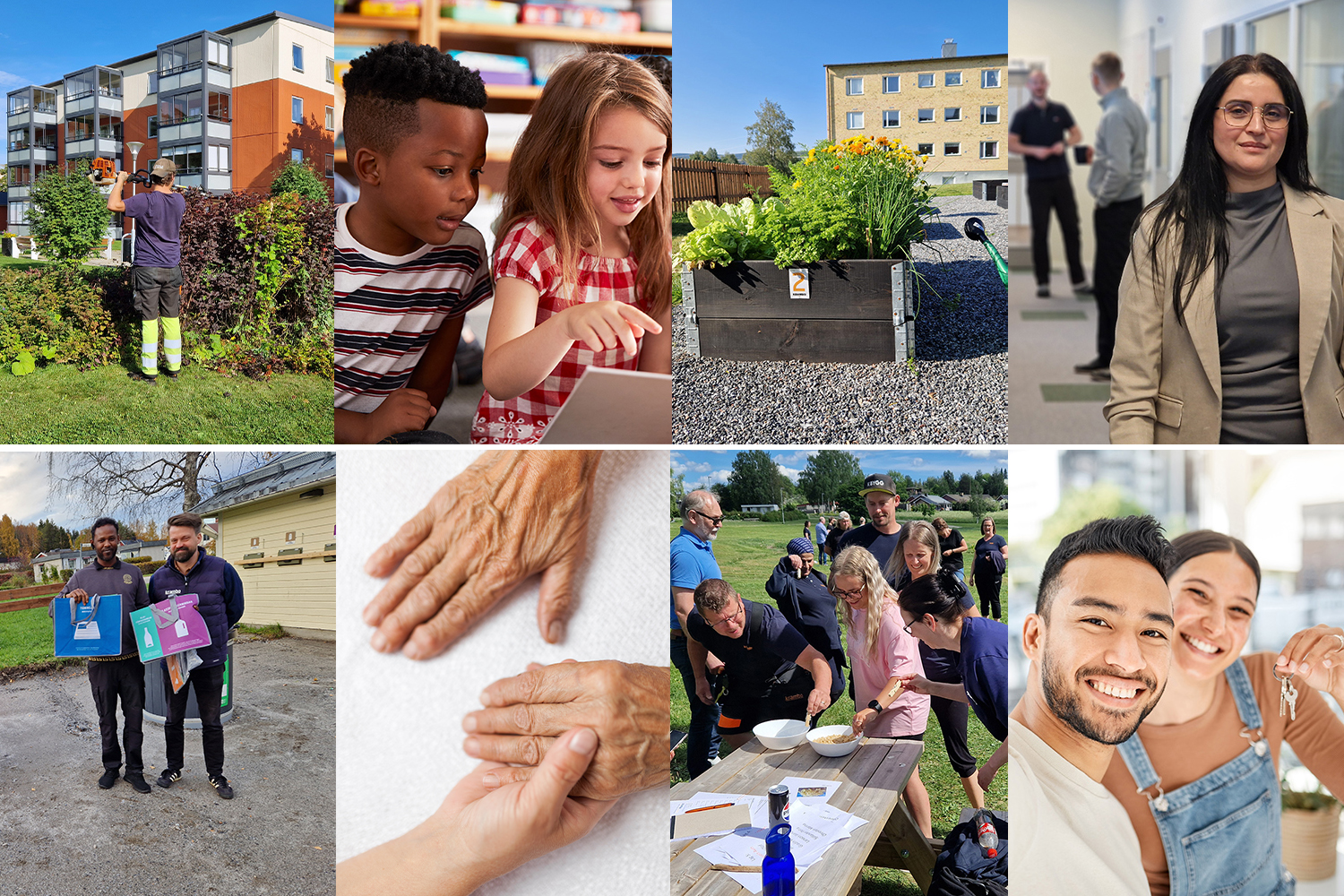 årsred 2025 nyhet